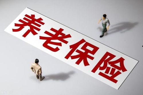 国产做a爰片久久毛片,探索“久久毛片”背后的故事与魅力